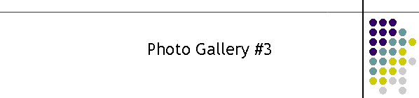 Photo Gallery #3